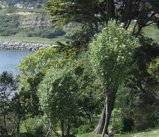 Community event at the Nothe Gardens, Weymouth