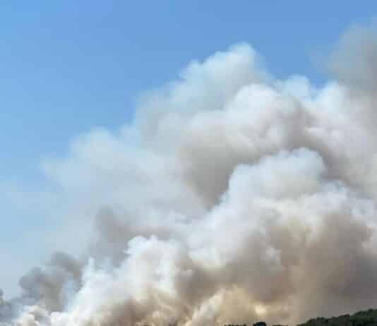 Major incident declared at Studland