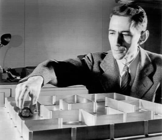 Ignorant rats posting this on doors in Weymouth and they wonder why we pity them