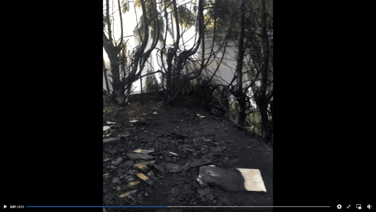 Dorchester Fire Service reveal why NOT having bonfires is a good idea