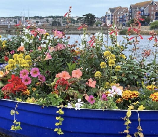 Flower power in Weymouth!