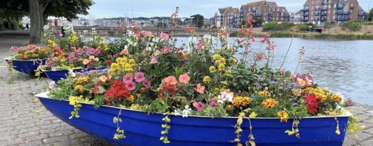 Flower power in Weymouth!