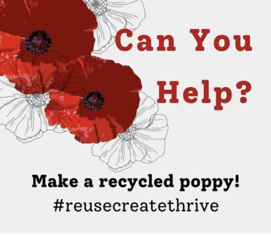 The Nothe Fort Needs You