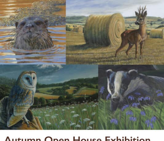 Amazing Puddletown artist gears up for open house in November