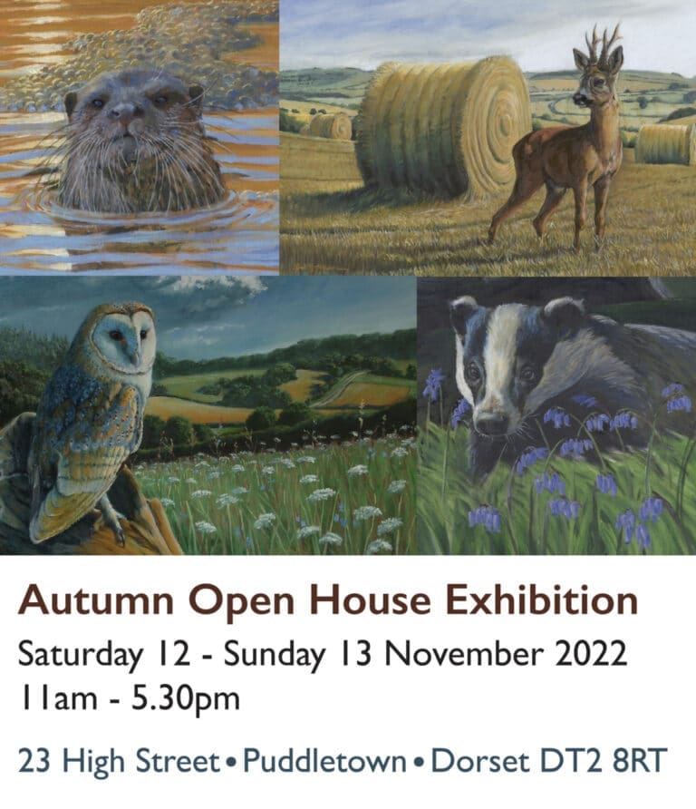 Amazing Puddletown artist gears up for open house in November