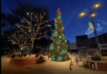 List of Events and Activities for Christmas 2025 in Bournemouth, Christchurch and Poole