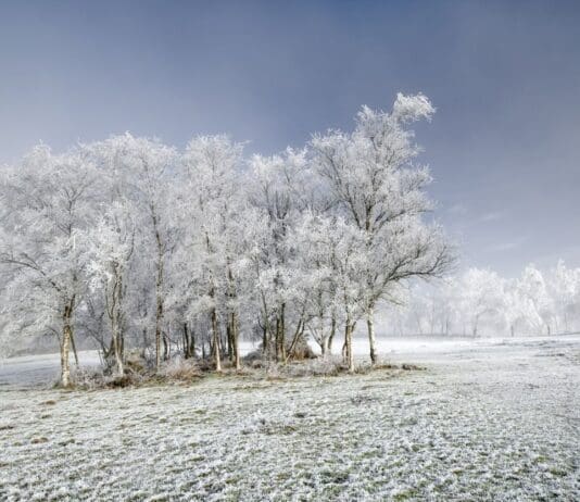 Early Freeze To Arrive As Public Asked To Look Out For The Vulnerable
