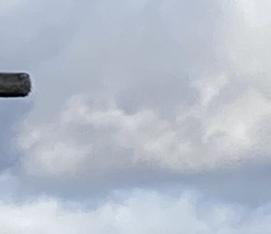 David Attenborough comes to Studland via Weymouth