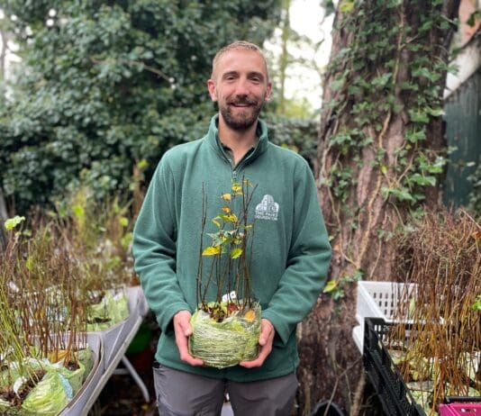 Help plant 4,000 trees across BCP