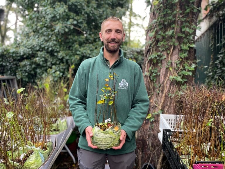 Help plant 4,000 trees across BCP