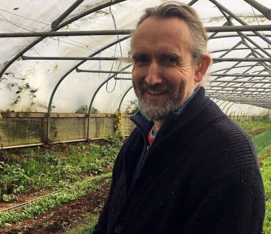 ROGER ON REMAND: The state are hellbent on their suicidal attempt to continue a dead system