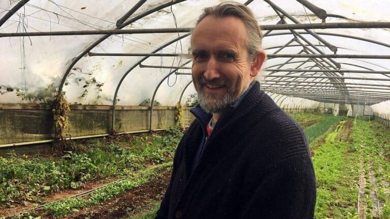 ROGER ON REMAND: The state are hellbent on their suicidal attempt to continue a dead system