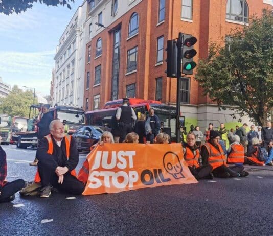 Blocking roads is our last hope that sanity will prevail
