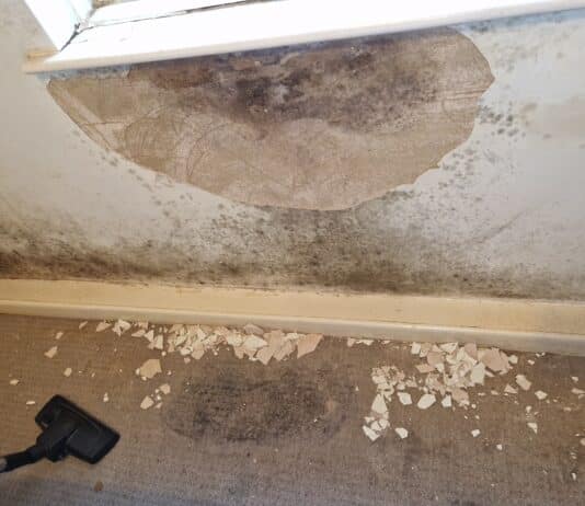 South Dorset woman reveals the hell of living in Aster Housing