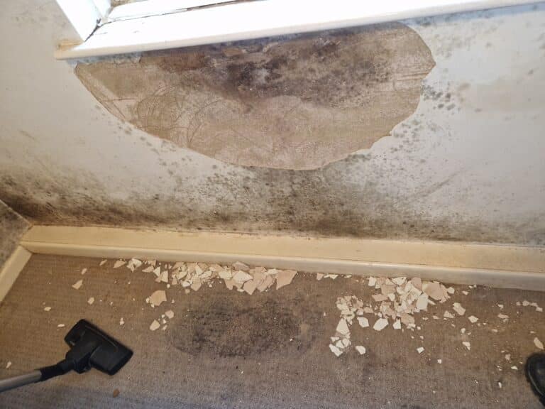 South Dorset woman reveals the hell of living in Aster Housing