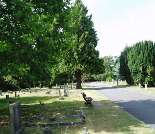 ‘Anomalies’ identified at Christchurch Cemetary