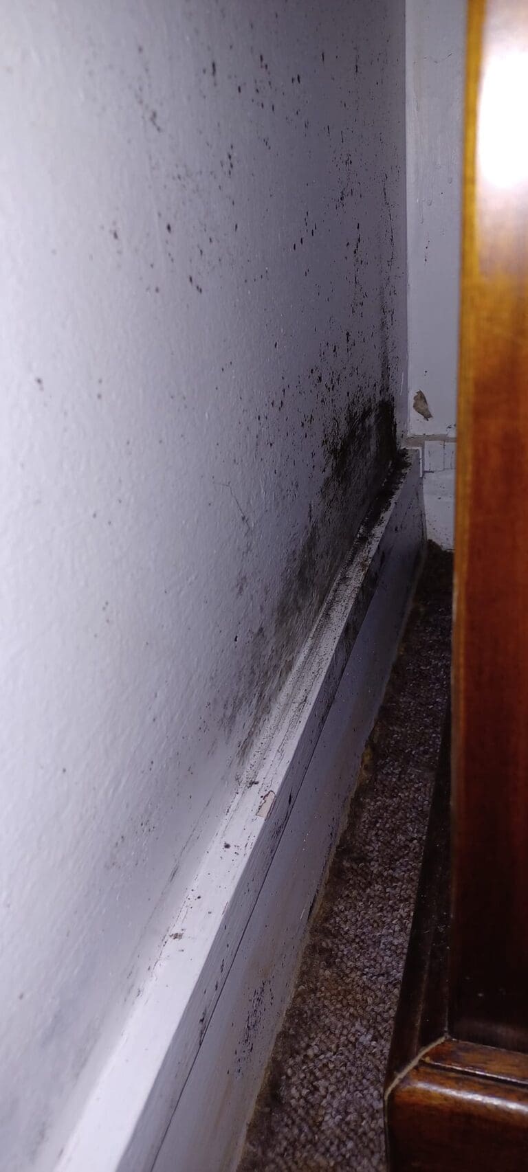 Dorchester man living in Magna Housing Association reveals the horrors of his existence