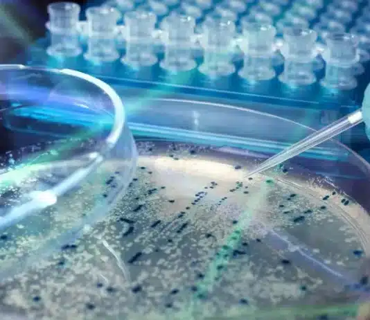 As human extinction draws nearer this may be the only saving solution