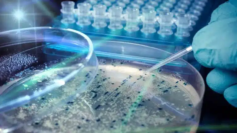 As human extinction draws nearer this may be the only saving solution