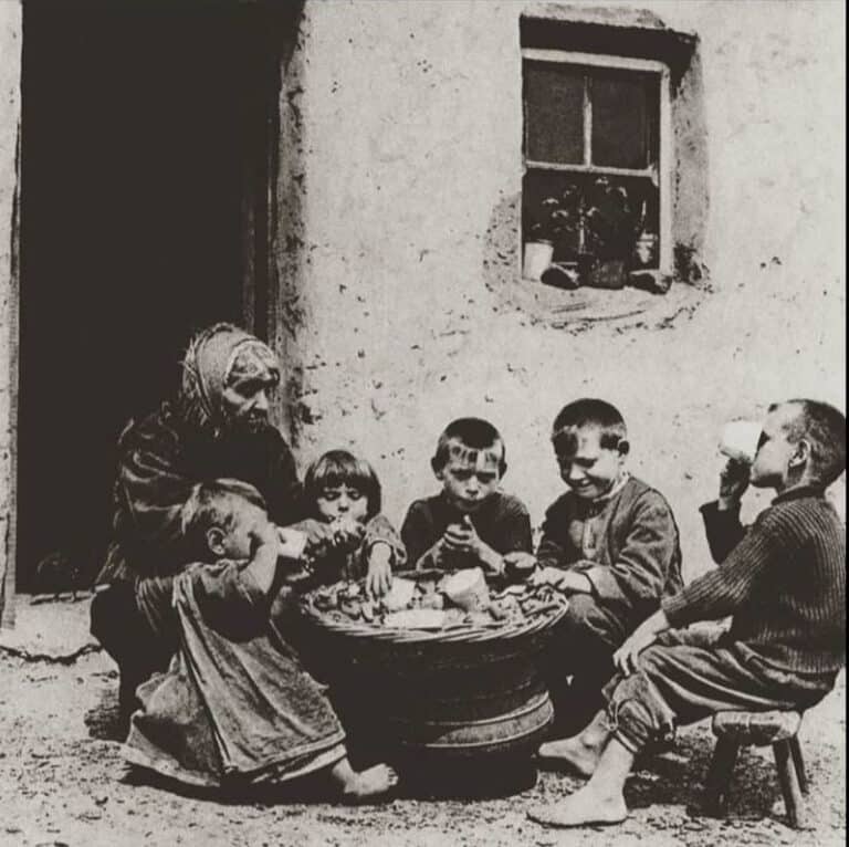 The ‘Irish’ Potato: Returning a favour