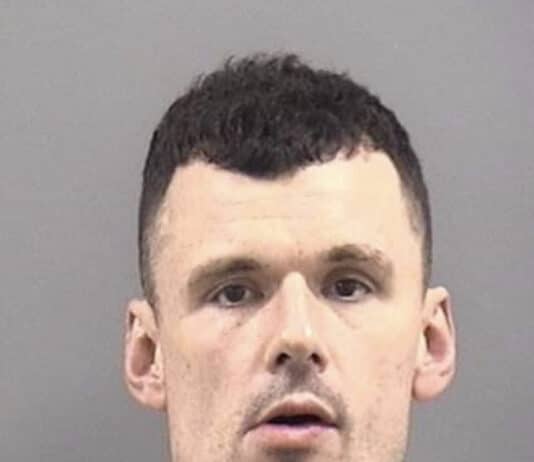 Man receives 12 year sentence for killing woman with car