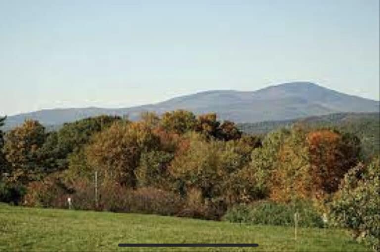 Former Weymouth resident found guilty of fly-tipping