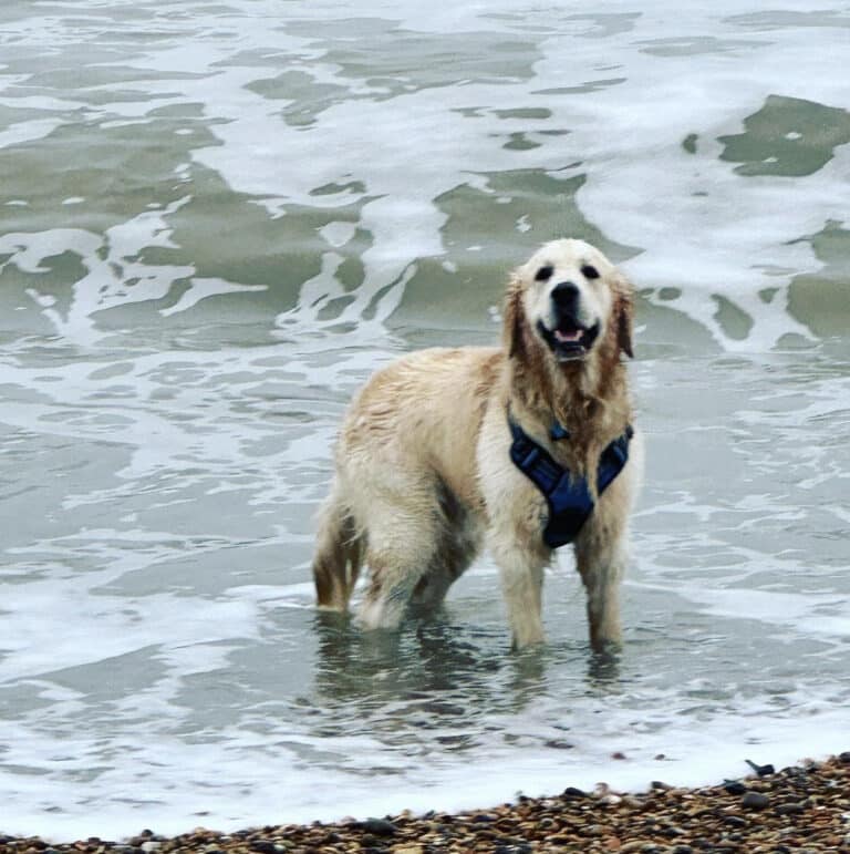 I have discovered the best new fitness app