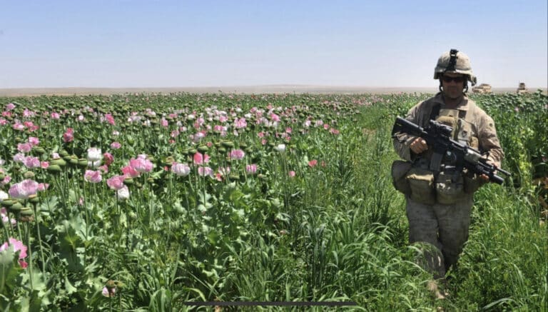 Afghan opium production hugely accelerated under U.S. occupation