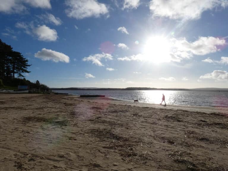 Inquest hears how brother let go of sister to save her in sea off Poole