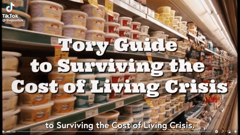 The Tory government’s guide to surviving the cost of living crisis