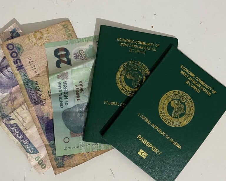 Another Election Cycle and No Diasporan Voting: Nigerian Youths in the UK Lament