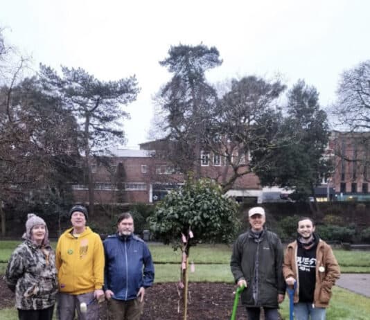 Extinction Rebellion plant Wish Tree