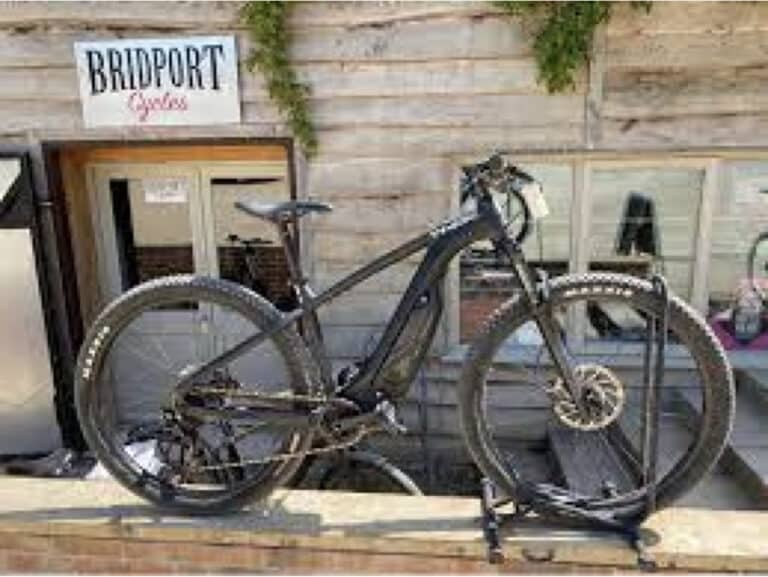 Bikes stolen from shop in Bridport