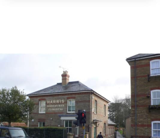 Group of males sought following robbery in Dorchester