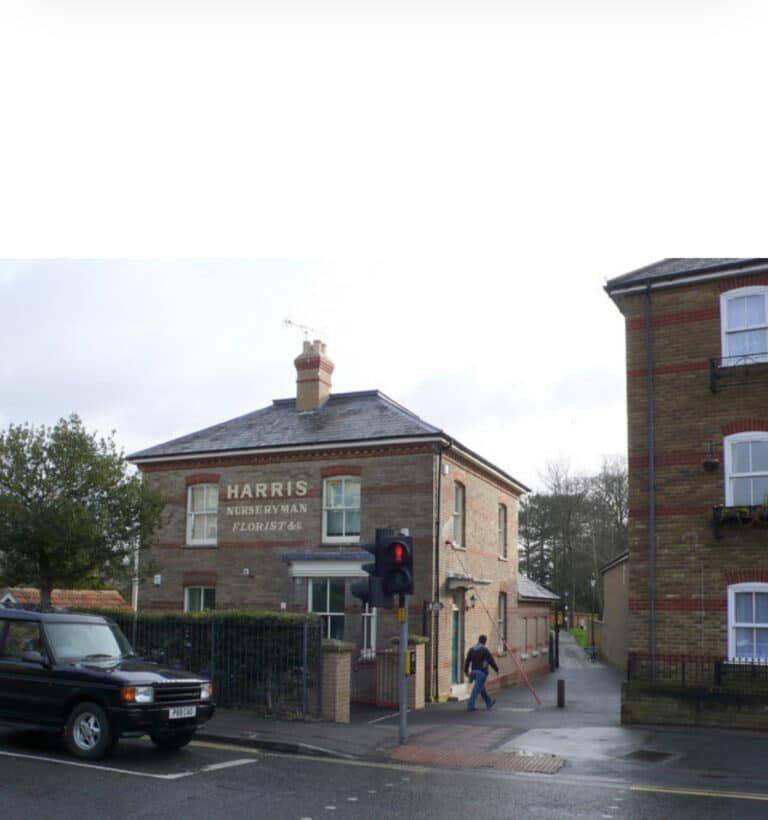 Group of males sought following robbery in Dorchester