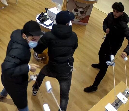 Thieves sought in Shaftesbury