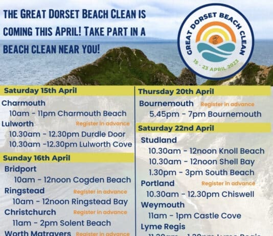 Litter free Dorset Beach Clean