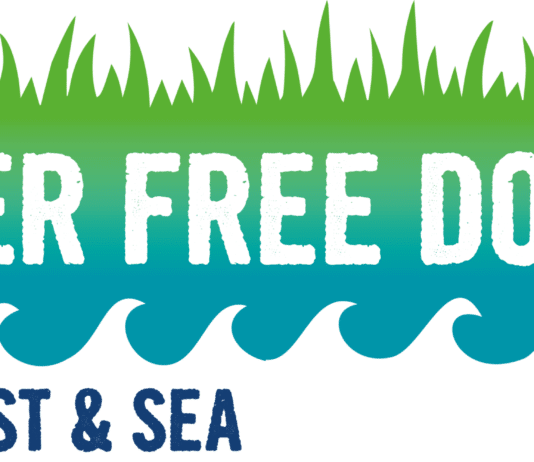 BCP to get tough on public who litter