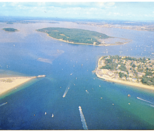 Dorset Wildlife reveal ‘deep concern’ following oil spill in Poole Harbour