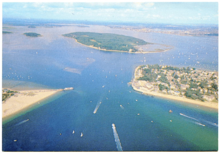 Dorset Wildlife reveal ‘deep concern’ following oil spill in Poole Harbour