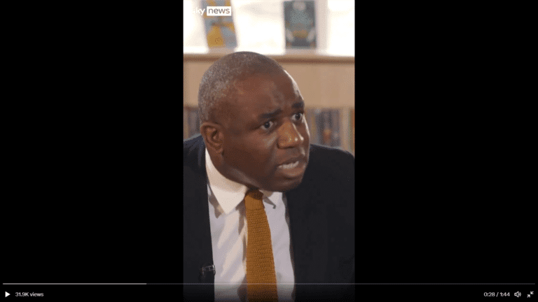 David Lammy MP admits he is on the corporate take