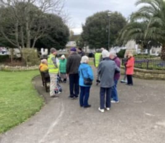 Residents invited to free outdoor health and wellbeing activities in Wimborne