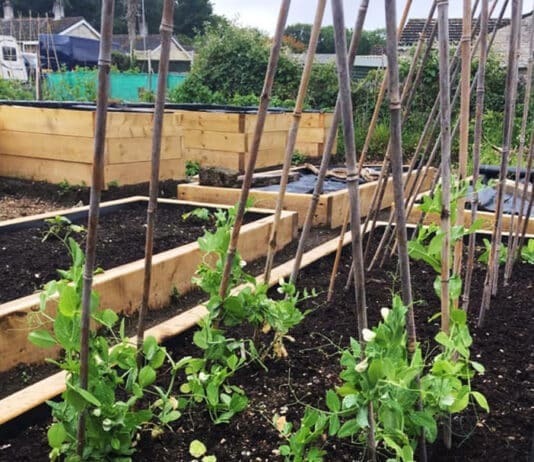 Dorset Mind charity grows ecotherapy support to three NEW sites across Dorset!