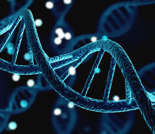 Why ‘The Selfish Gene’ by Richard Dawkins is outdated and simplistic