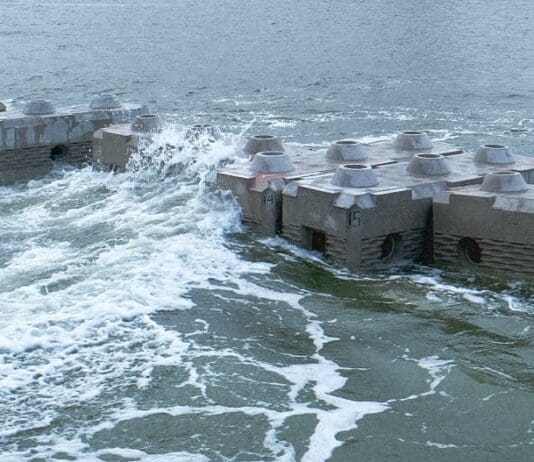 ARTIFICIAL REEFS FOR POOLE HARBOUR