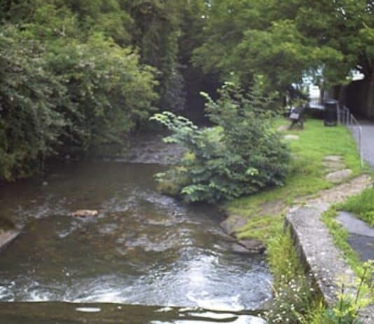 The once thriving Dorset river killed by sewage