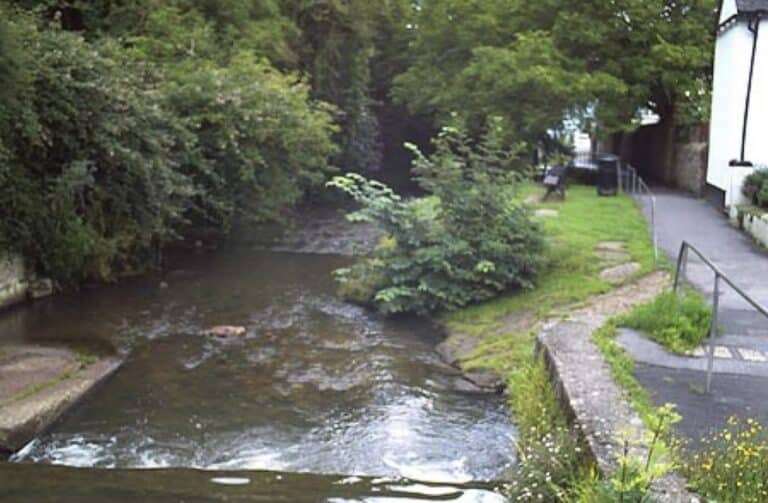The once thriving Dorset river killed by sewage