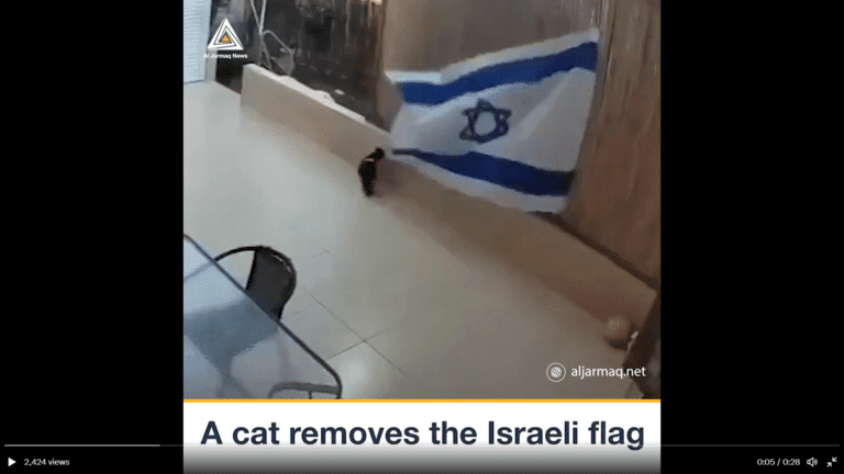 Celtic fans respond to Charles’ Coronation Pledge of Allegiance and Cat tears down Israeli flag