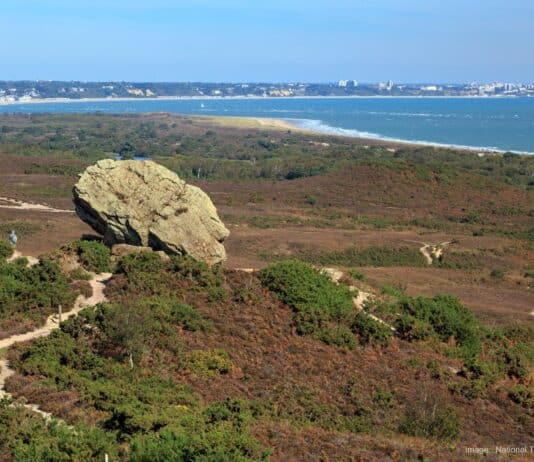 Dorset’s Super National Nature Reserve: A Haven of Biodiversity