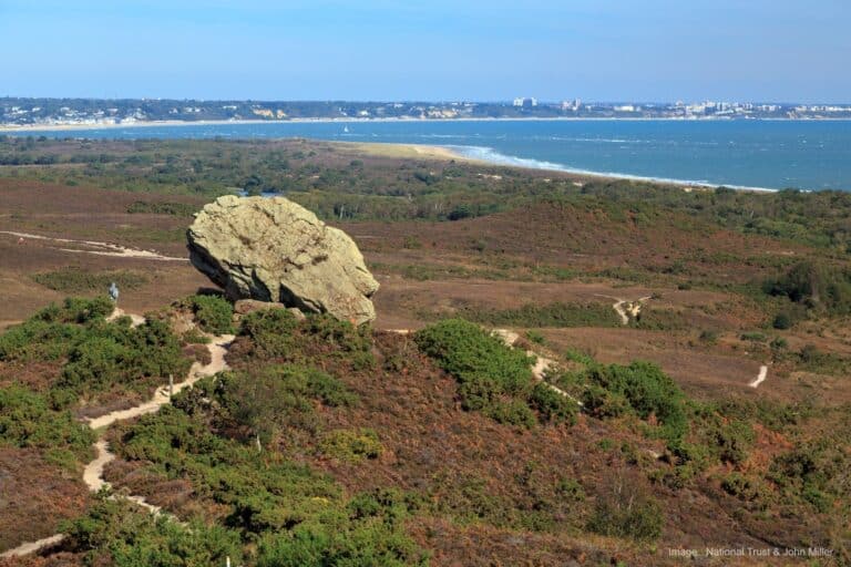 Dorset’s Super National Nature Reserve: A Haven of Biodiversity